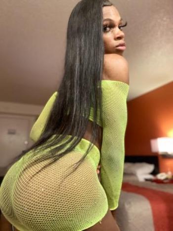 3149195704, transgender escort, St Louis
