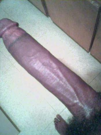 3149876764, transgender escort, St Louis